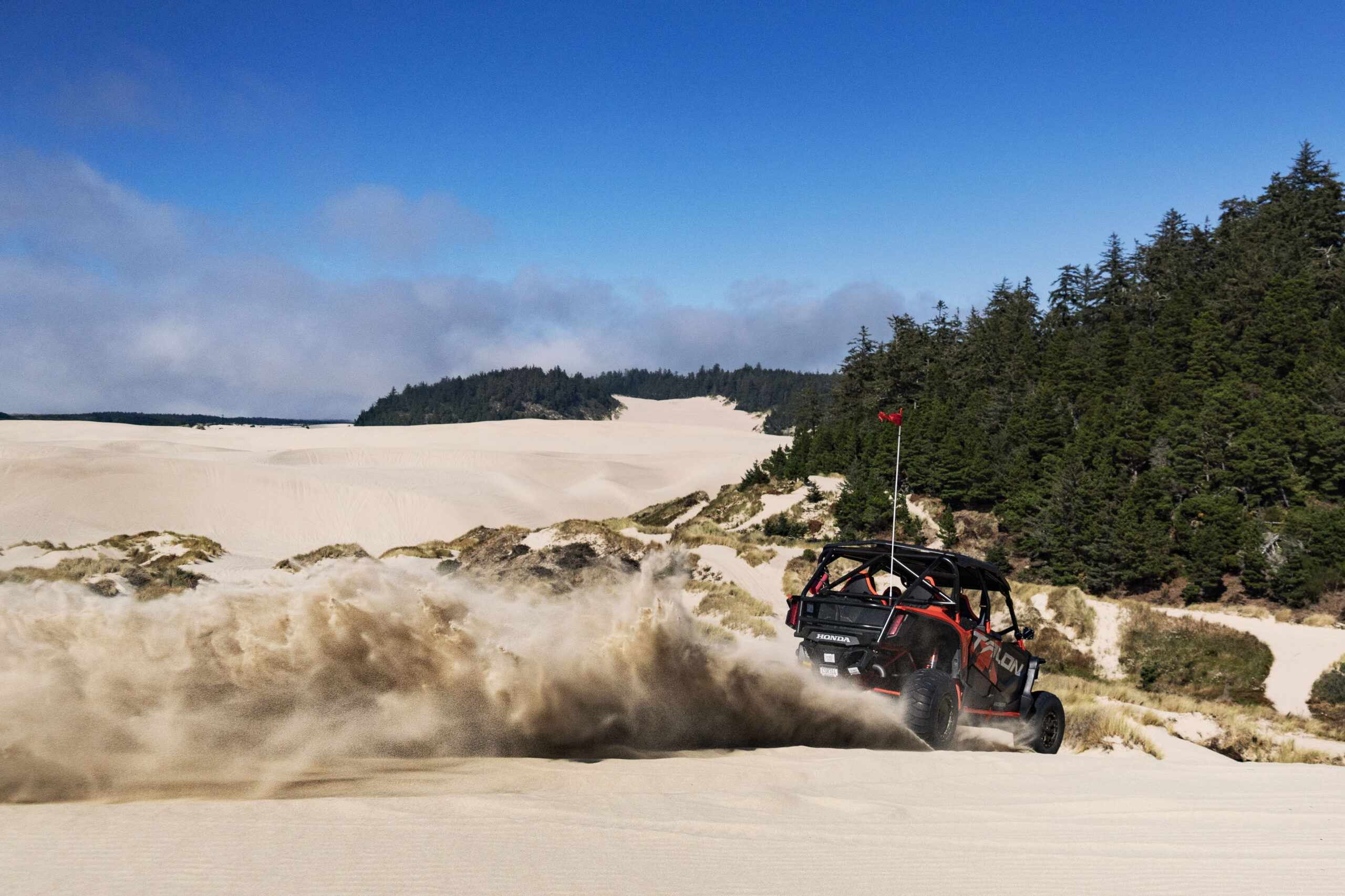 PLAY - Reedsport/Winchester Bay